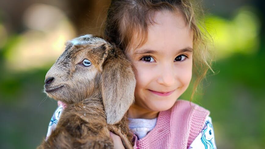 natural soap for babies smiling child holding a baby goat outdoors