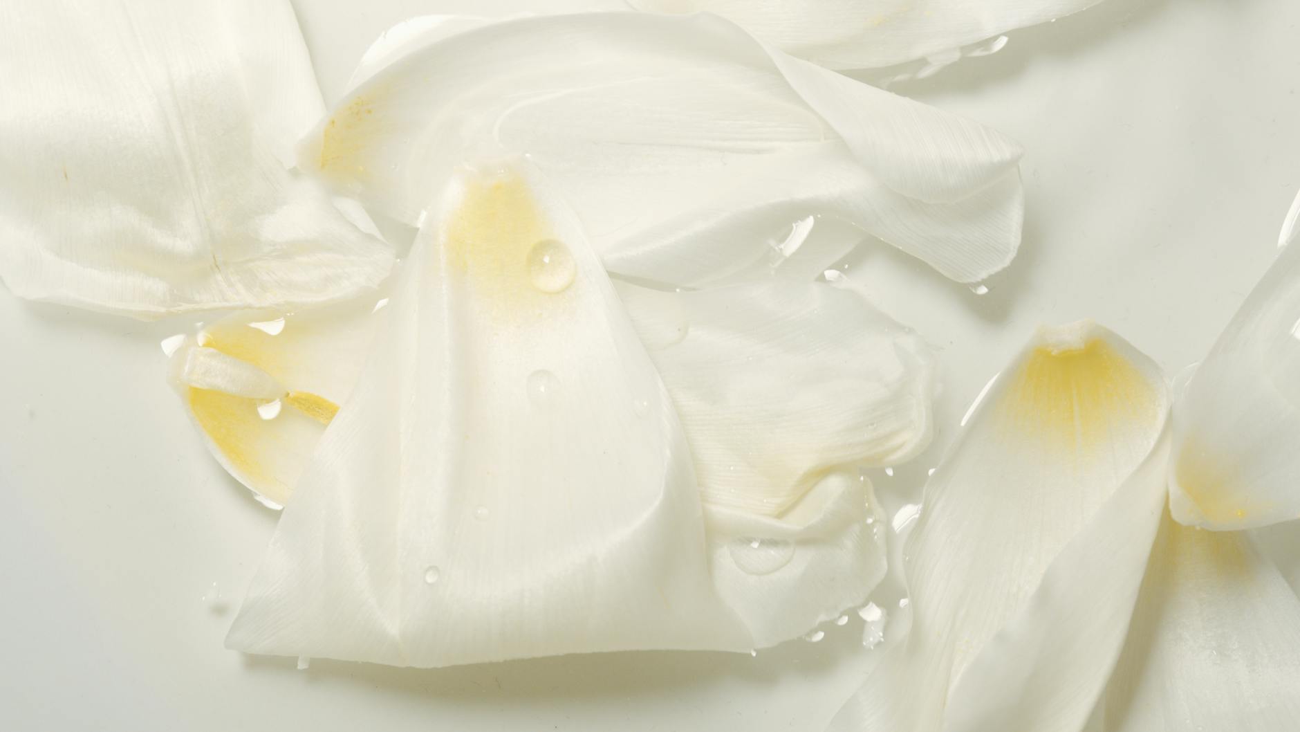 fragrance-free natural soap for sensitive skin , abstract background of fresh white petals